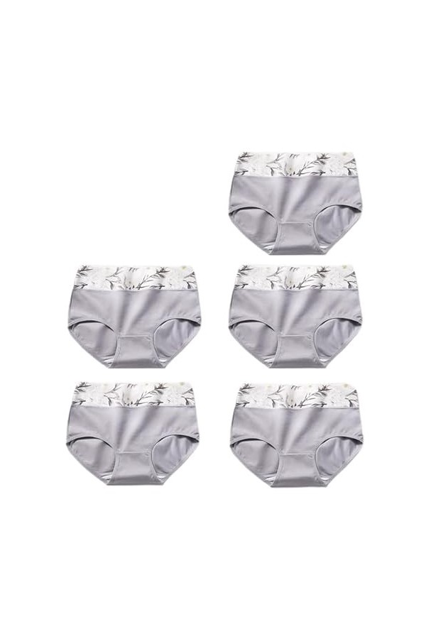 RUDDOG Culotte Menstruelle 5Pcs / Set Femmes Culotte Coton Haute Taille des sous-Vêtements Respirant Slip Panty Sombres-G,M 
