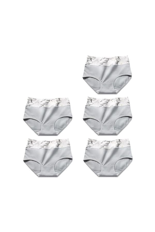 RUDDOG Culotte Menstruelle 5Pcs / Set Femmes Culotte Coton Haute Taille des sous-Vêtements Respirant Slip Panty Sombres-G,M 