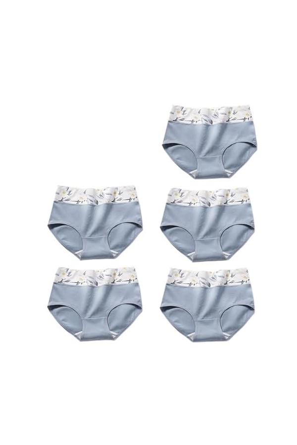 RUDDOG Culotte Menstruelle 5Pcs / Set Femmes Culotte Coton Haute Taille des sous-Vêtements Respirant Slip Panty Sombres-G,M 