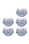 RUDDOG Culotte Menstruelle 5Pcs / Set Femmes Culotte Coton Haute Taille des sous-Vêtements Respirant Slip Panty Sombres-G,M 