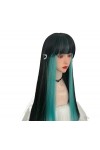 DUNEL Wigs Hair For Women Long Straight Hair With Bangs 2Tone Costume Cosplay Wigs for Women Perfect for Party Color : Black
