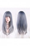 DUNEL Wigs Hair For Women Shoulder Length Bob Wigs With Bangs for Women Blue Grey Party Costume Cosplay Wig Charming for Part