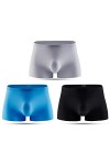 Fnho Sexy Hommes,String Homme Sexy Elephant,Boxer en Soie glacée, sous-vêtements Sexy Respirants 3 Paquets -C 3-Pack _XL