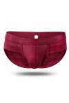 WTZWY Caleçons en Forme de Triangle truqué Taille Basse for Hommes en Maille Respirante Color : Maroon, Size : L 