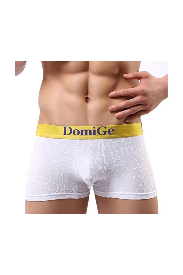 LCHYG Mens Soft Bamboo Fiber Underwear, Plus Size Breathable Travel Boxer Briefs Panties,Boxed,Cobalt Blue,M