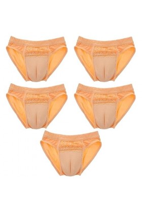 FRCOLOR 5 Pièces Mâle À Femelle Vêtements Travesti sous-Vêtements Gaff Culottes pour Transgenres Gaff String Hommes Mémoires 