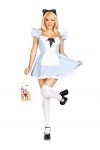 Leg Avenue Storybook Alice apron dress costume set, L