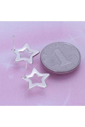 Elegant Small and Exquisite Fashion Popular Clover Tassel Female Silver Earrings/Stainless Steel/Anti-allergic/Silver Flashin