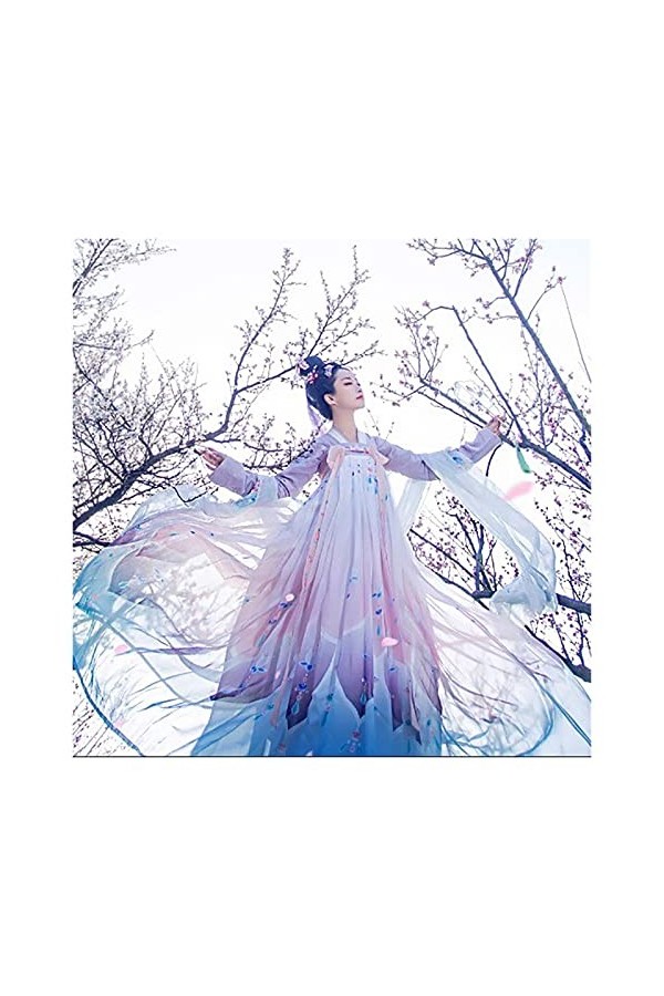 YUNGYE Costume de danse traditionnelle chinoise pour femme - Élégante robe de photographie - Broderie - Couleur : violet - Ta