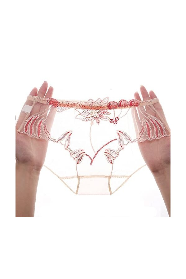 Bywenzai Culotte sous-Vêtements Transparents pour Femmes Dentelle Maille Culottes Lingerie Érotique Évider Fille Slips Fil Ne