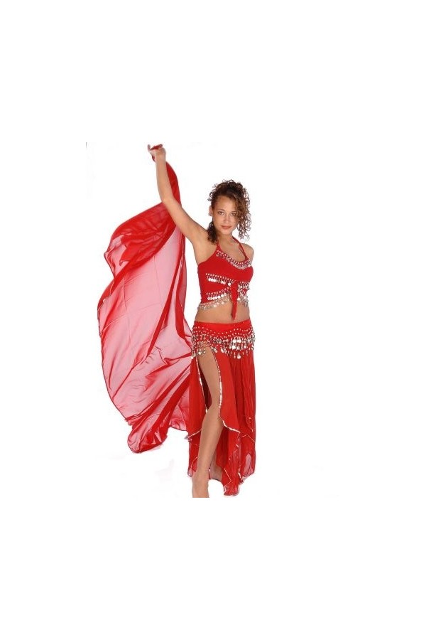 Miss Belly Dance Ensemble de Costume Belly Dance de | Skirt-Veil, Débardeur et Foulard Hip | SA Conception Ingénieuse