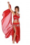 Miss Belly Dance Ensemble de Costume Belly Dance de | Skirt-Veil, Débardeur et Foulard Hip | SA Conception Ingénieuse