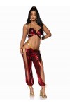 Leg Avenue 2 PC Ruby Desert Princess, includes lame bikini top and split leg cut-out harem pants with side ties.