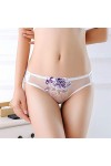 WFAR Sexy Panties Sexy Broderie Broderie Dentelle Basse Taille Sexy Dentelle Sexy Dentelle Fermer Culotte Dames séduisantes T
