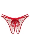 SUPTTING Culotte Thong à Taille Basse Sexy pour Femme, Broderie de Fleurs, Maille Transparente, sous-Vêtements Ouverts à l’En