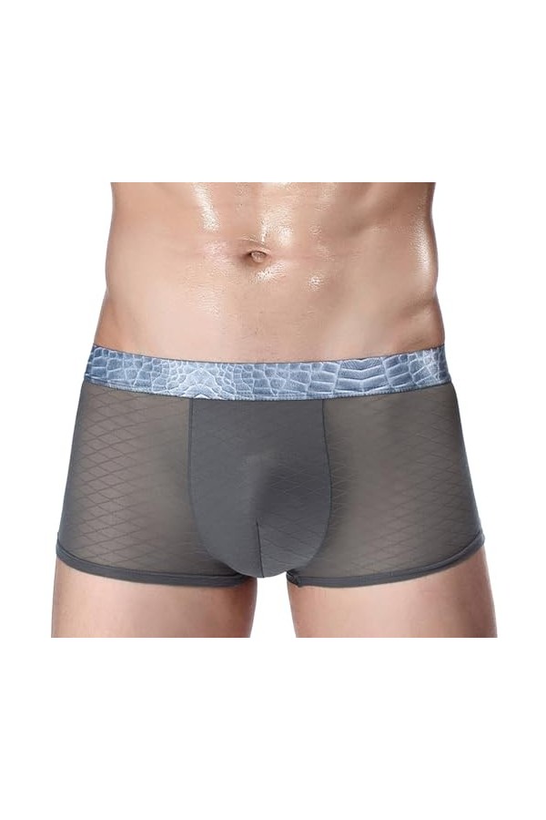 Mymyguoe Boxer pour homme en soie glacée - Sous-vêtements en maille transparente - Rétro - Respirant - Boxer en U convexe - D