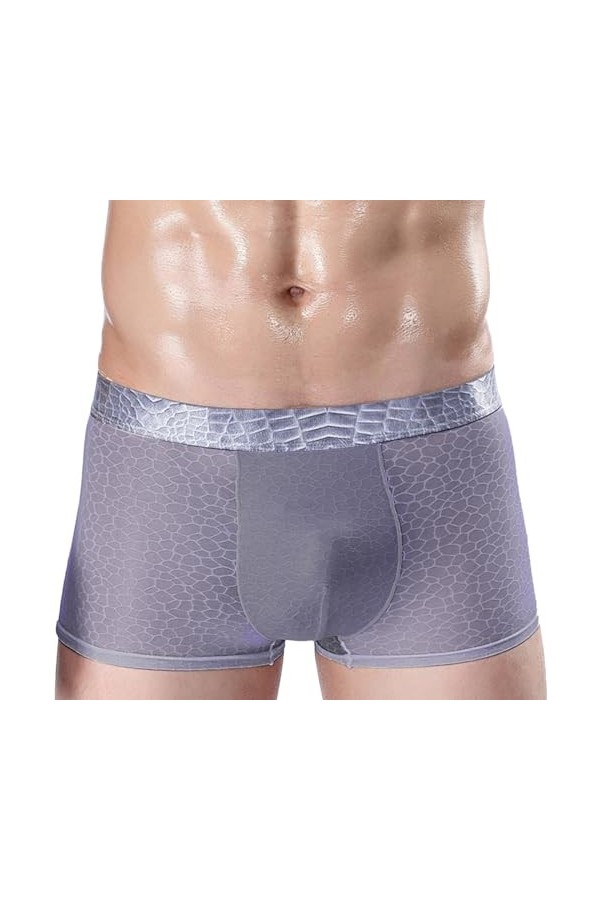 Mymyguoe Boxer pour homme en soie glacée - Sous-vêtements en maille transparente - Rétro - Respirant - Boxer en U convexe - D