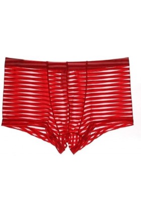 Générique Boxer Transparent à Rayures pour Hommes Slip Taille Basse translucide Pantalon Convexe en U Boxer Transparent et Re