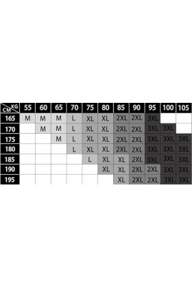 MEGAHERZ Culotte Triangle Sexy en Soie glacée à Taille Basse pour Hommes Couleur Unie Translucide Petite Culotte Triangle No