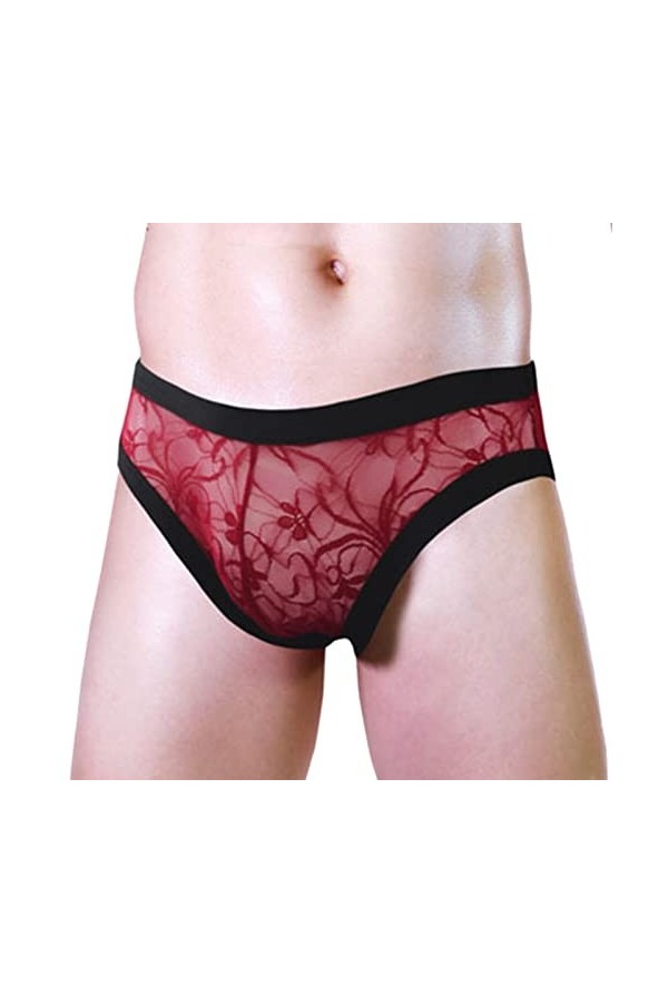 hehiy sous-vêtements Érotiques pour Hommes Culottes Boxer Slips Malles Sexy Underpants Erotique Culotte Hommes Éléphant Renfl