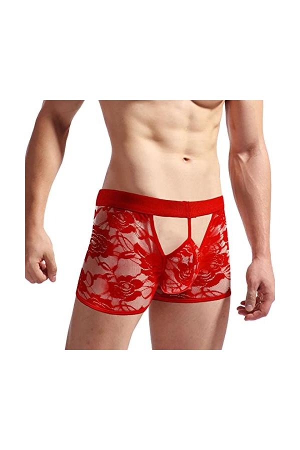 hehiy Hommes Slips sous-vêtements Maille Transparente Voir à Travers Les Slips Sexy Érotique Hommes sous-vêtements Éléphant R