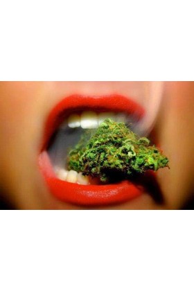 Cobeco Pharma - Lubrifiant Cannabis