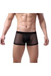 hehiy Strings en Maille pour Homme - sous-vêtements Respirants - sous-vêtements Sexy Transparents sous-vêtements Érotiques Cu