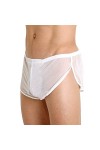 hehiy Slips pour Hommes Slips Érotiques Transparents Slips Taille Basse Slips sous-vêtements Sexy Transparents Slips Taille B
