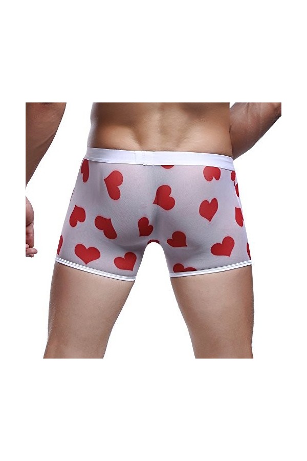 String Homme Sexy Hot Ouverte Tanga Dentelle Sissy Lingerie Erotique Panties Briefs Underwear Transparents Slips Taille Basse