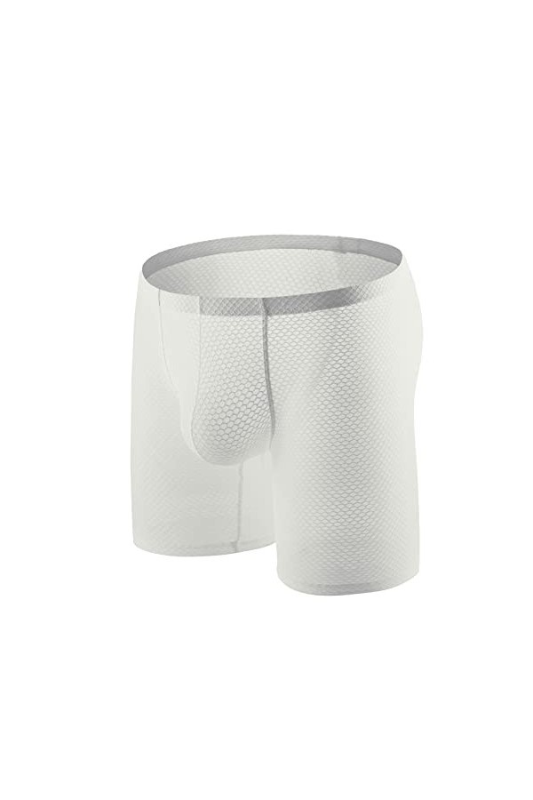 hehiy Hommes Slips sous-vêtements Maille Transparente Voir à Travers Les Slips Sexy Érotique Hommes sous-vêtements Éléphant R