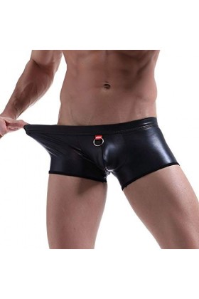 hehiy Hommes Slips sous-vêtements Maille Transparente Voir à Travers Les Slips Sexy Érotique Hommes sous-vêtements Éléphant R