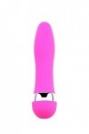 Mini Vibromasseur rose 11 cm