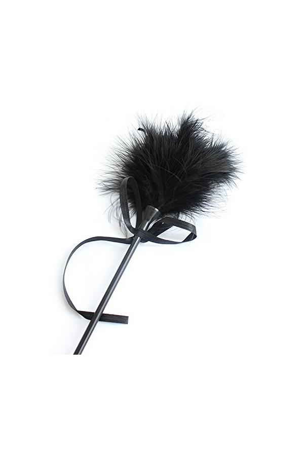 Noir Fouet Plume Tickler Stimulant Fouet en Cuir