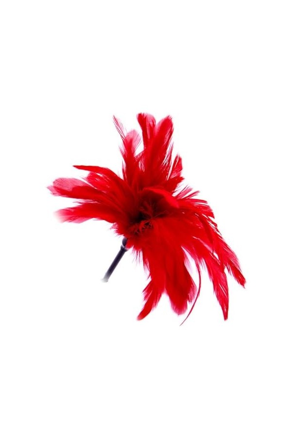 Jouet fliting pour adulte Sex Feather tickler teaser Feather Sex teaser tickler Spanking Toys tickler Toys Adult feather