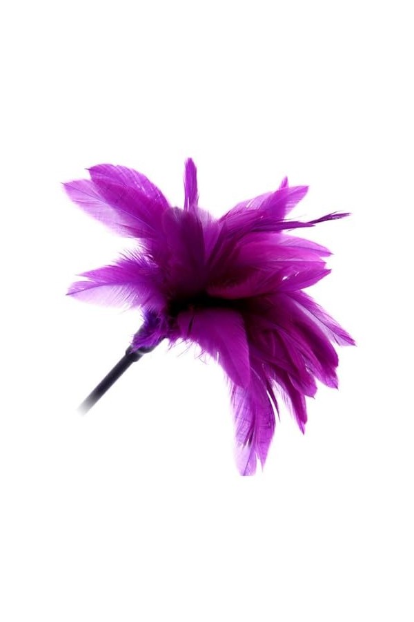 Jouet fliting pour adulte Sex Feather tickler teaser Feather Sex teaser tickler Spanking Toys tickler Toys Adult feather