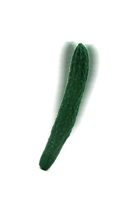 Langue Suceur Clitoridienne Double Mas-seur aspi-rateur vibromass-EUR Stimul-ateur Lang-UE clito-ridien VI-Brant Femme SUCC-I