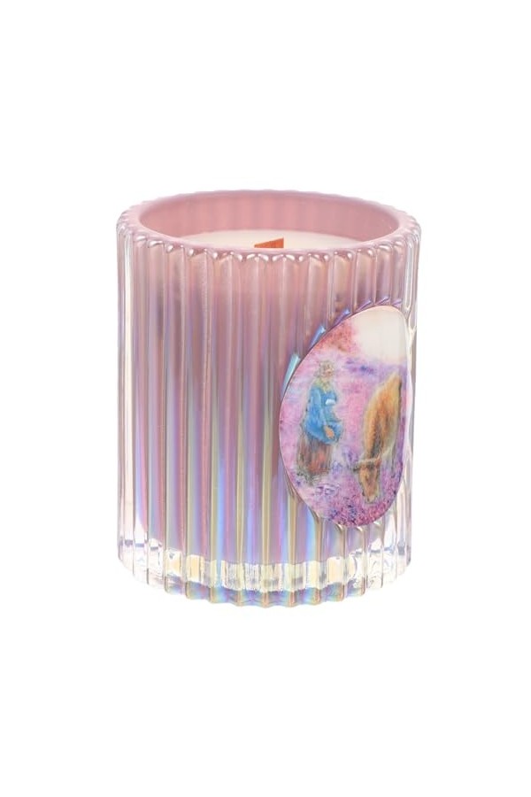 Healvian Bougies Parfumées Violet Cire De Soja Mariage Verre