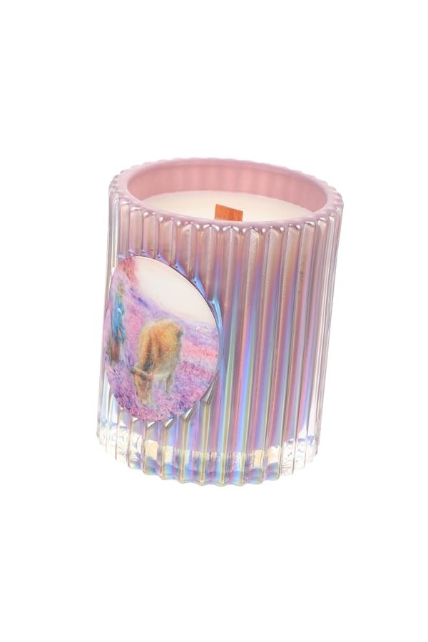 Gatuida bougies parfumées bougie parfumée avec coupe en verre décor de bougie de festival décor vintage décor végétal décor d