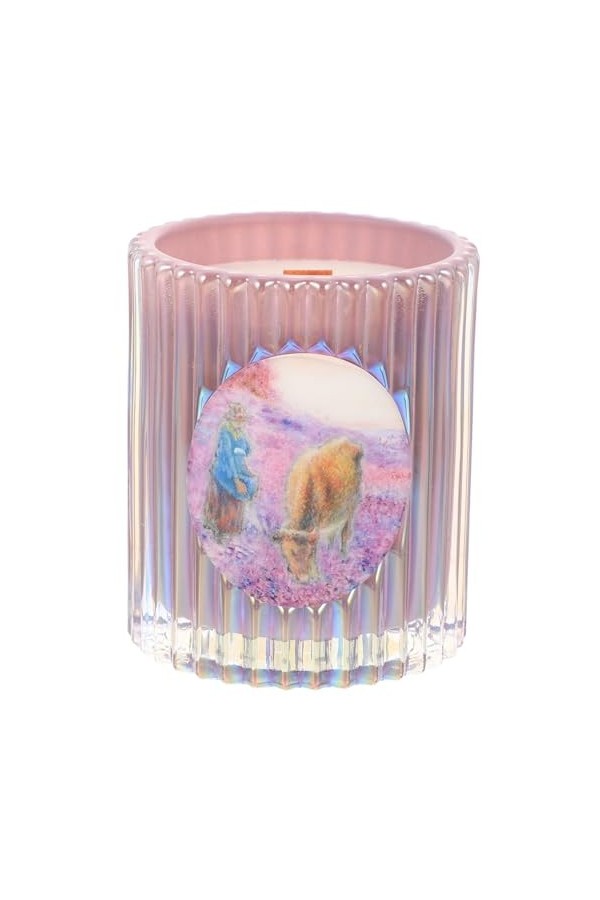 HAPINARY Bougies Parfumées Plantes Décor Ornement De Bureau Accessoires Photo Cadeau De Mariage Bougie Parfumée De Mariage Dé