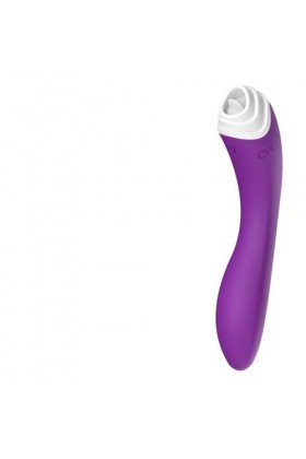 Vibromasseur à LéCher Lángue Vîbrant pour Femme Clítõrídīén Súcéur Víbréūr Récharge USB Víbrómáśsēúrs Clītôrídīénñe Tôngūe Vî