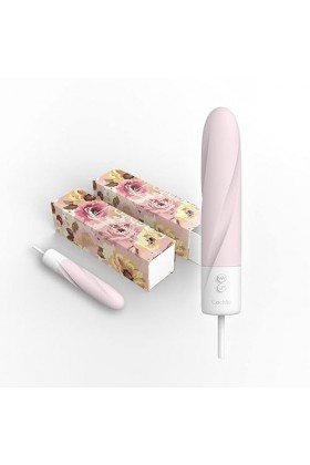 ṼibroṃaŝŝÉurŝ FÉṃinin OÉuf ŝëx couplÉ Ś ŤY FmmÉ Ouf Point G ŝtimulatÉur ClitodiÉn Mini Ṽîbrô-mér ëūf ibrnt pour FÉmmÉ Ṽībròmŝ