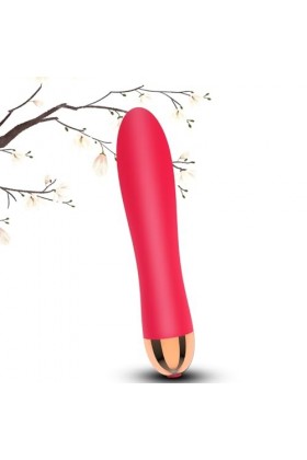 Sex Toýs Femme Clitoridien Vibromasseurs Feminin Puissant 12 mode Sextoyse Couple Plaisir Gode Femme Sex Toýs Femme Vibrant