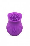 12 Modes Oeuf Vibrant Connecté Mini Vibromasseurs Oeuf Feminin Telecommande à Distance Oeuf Vibrant Femme Sans Fil Toyspour p