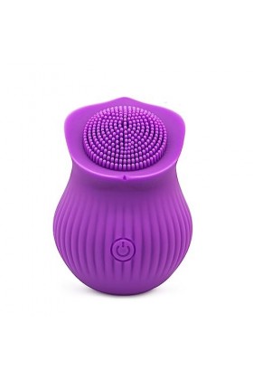 ø?ử? V?????? F???? avec Telecommande Invisible Masseur Oe?f vibr?nt Femme sans Fil Telephone ℴeuf de Massage en Silicone Mass