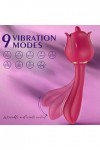 Vibrateur de Langue Léchant Vibrateur Femme Sex Clitoridien Masseur stimulant puissant avec clitoridiens stimulants,masseur d