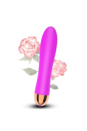 12 mode Vibromasseurs Feminin à Distance, Vibromasseurs Feminin Clitoridien Suceur va et vient, Sans Fil Oeuf Sex Toýs Femme