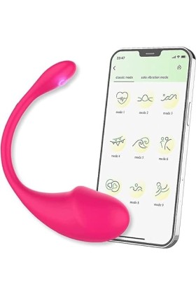 Panties Vibrator Portable Panty Vibe Control Wearable Massage Toy Washable Easy to Clean jeu couple cadeau with 10 Modes USB 