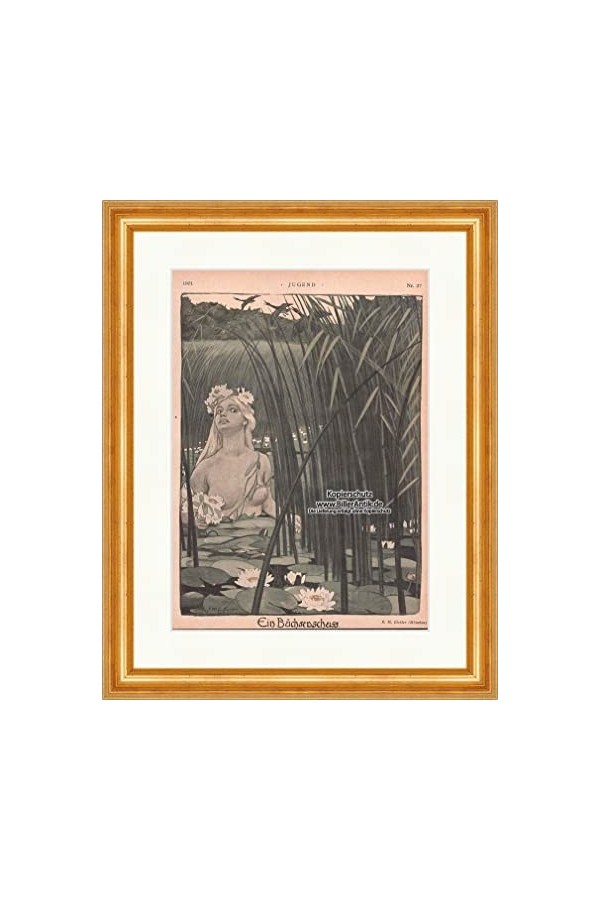 Biller Antik UNE coup de boîte Reinhold Max Eichler Nénuphar Fille Érotique Jeunesse 1561 Cadre