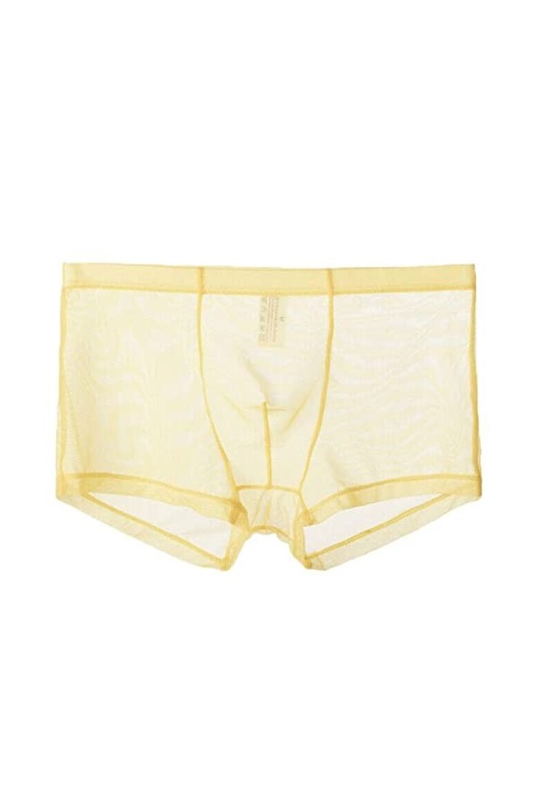 Vêtements de Nuit Transparents Taille Basse Bikini Shorts Hommes Lingerie Culotte sans Couture Slips Dentelle sous-vêtements 