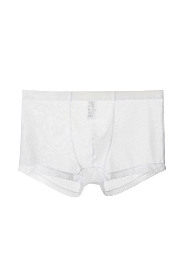 Vêtements de Nuit Transparents Taille Basse Bikini Shorts Hommes Lingerie Culotte sans Couture Slips Dentelle sous-vêtements 